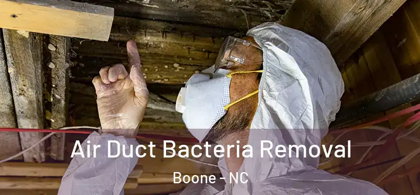 Air Duct Bacteria Removal Boone - NC