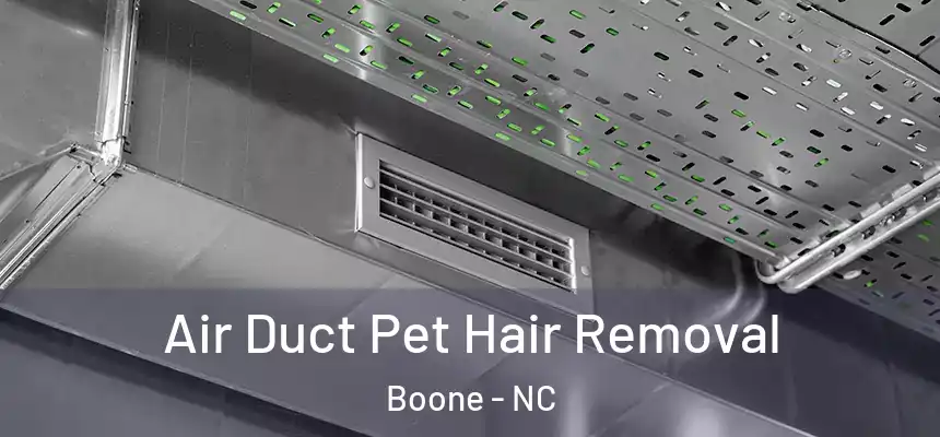  Air Duct Pet Hair Removal Boone - NC