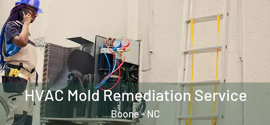  HVAC Mold Remediation Service Boone - NC