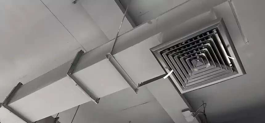 Our Rodent Droppings In Vents Services in Boone, NC