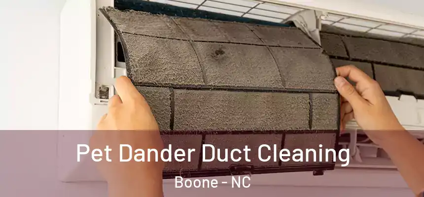  Pet Dander Duct Cleaning Boone - NC