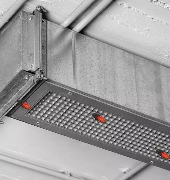 Affordable Insect Removal from Air Ducts in Boone, NC