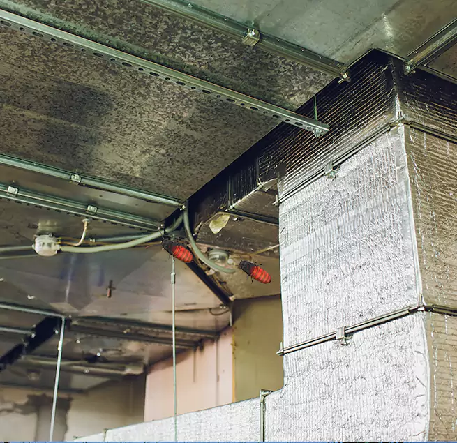 Why Homeowners & Businesses Trust Us in Boone, NC?