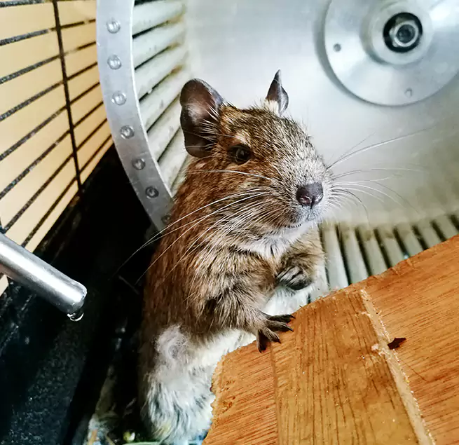 Why Homeowners & Businesses Trust Us Boone, NC